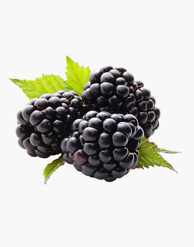 Blackberry 100%organic