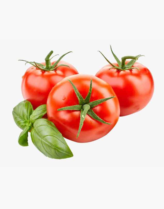 Vegetable tomato