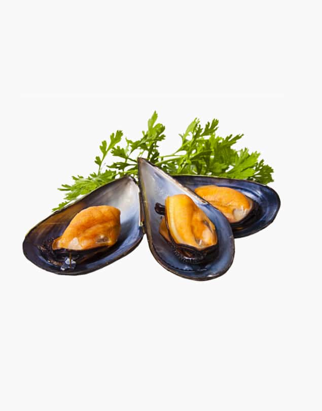 Fresh mussel (500g)
