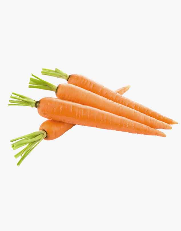 Fresh carrot natural free
